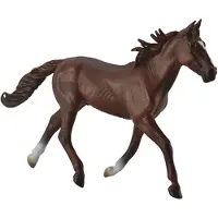 Collecta Hengst Standardbred Pacer Chestnut