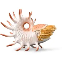 Collecta Cooperoceras handbemalte Figur