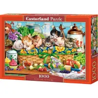 Castorland Puzzle Dř ímající koť ata 1000 dílků