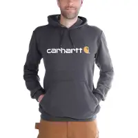Carhartt - Signature Logo Sweatshirt - Hoodie Gr S blau