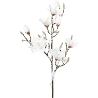 Creativ Light Kunstzweig "Weihnachtsdeko" Magnolie in beschneiter Optik, 15 LEDs, 115 cm, Batterie 3xAA