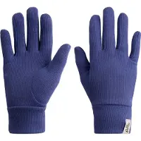 Odlo Active Warm Eco Handschuhe