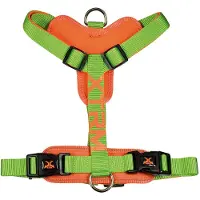 Nayeco X-trm Cronos Neon Flash Hundegeschirr