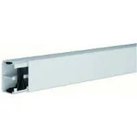 Hager LF4006107035 Leitungsführungskanal mit Trennwand PVC LF 40x60mm lichtgrau - 2 Meter