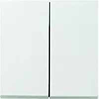 Gira Wippe 2fach, System 55, schwarz matt, 1 Stk.