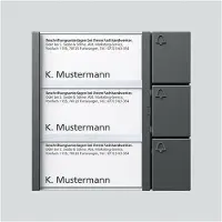 Siedle&Söhne S & Soehne Bus-Tasten-Modul dgr/gli BTM 650-03 DG (200038793-00)