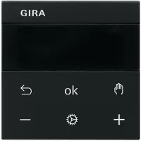 Gira 5393005 S3000 RTR Display System 55 Schwarz m