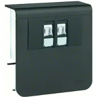 Hager SL200809079011 Geräteträger Datenanschluss 2xCat.6A zu SL 20x80mm graphitschwarz