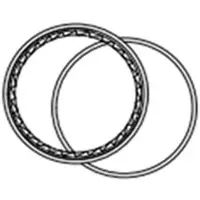 Fulcrum Rs-031 Road Ring