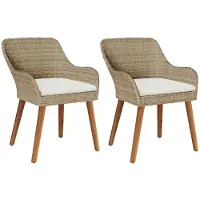 vidaXL Gartenstuhl 2 stk. Beige Poly-Rattan