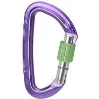 Wild Country Session Screw Gate Karabinerhaken