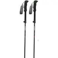 Gabel Ibex Carbon Xts Stöcke Silber 34-115 cm Herren,Damen Silber 34-115 cm