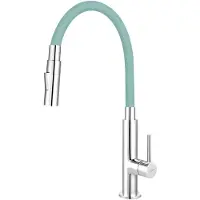 Ferro Novaservis - Küchenarmatur mit ausziehbarer Brause, 2 Düsen, mint/chrom 70730,0M