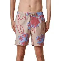 Globe Dreamin' Wild Boardshorts dune Gr. XL