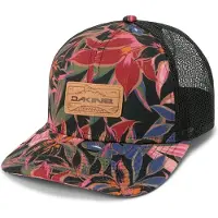 Dakine Peak To Peak Trucker-kappe