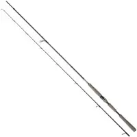Daiwa Saltist Ags Iii Spinnrute