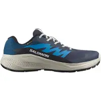 Salomon - Alphaglide GORE-TEX - Trailrunningschuhe Gr 49 1/3 blau