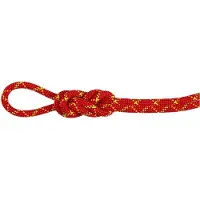 Mammut - 8.0 Alpine Core Protect Dry Rope - Halbseil Gr 30 m rot/weiß