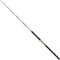 Daiwa Saltiga Hiramasa Jiggingrute
