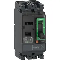 Schneider Electric C10M2TM100 Kompaktleistungsschalter ComPacT NSX100M AC/DC mit TM100D 2P2D 100A, 40kA/240 VAC
