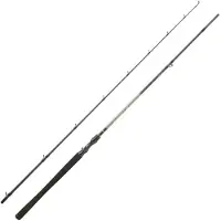 Daiwa Exceler Baitcastrute