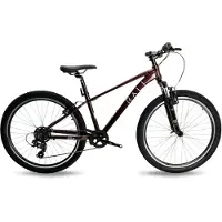 RALI Pro 1 26´´ Ty300 Mountainbike