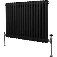 Monster Traditioneller 2-Spalten-Heizkörper - 600 x 832 mm - Schwarz