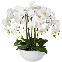 Creativ Green Kunstpflanze , weiß, H:54cm, Kunststoff, Kunstpflanzen, Kunstpflanze
