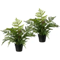 Creativ Green Künstliche Zimmerpflanze , grün, H:40cm, Kunststoff, Kunstpflanzen, Künstliche Zimmerpflanze