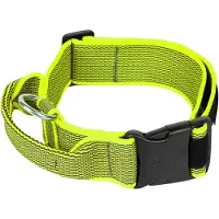 JULIUS K-9 Collar 40 Mm Hundehalsband