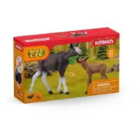 Schleich WILD LIFE 42629, Forest, Wild animals / adventure toys, 3 Jahr(e), Mehrfarbig