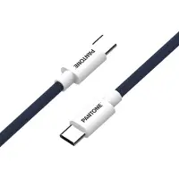 Pantone PT-CTC002-5N, 1,5 m, USB C, USB C, Blau