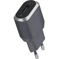 BigBen Interactive FPCS2.4A1USBAG, Drinnen, AC, 2,4 A, Grau, Silber