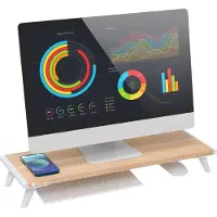 EFB Elektronik ICA-MS-389 Techly ergonomischer Monitorständer ICAMS389
