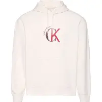 Calvin Klein Jeans Eu 350 Terry Graphic Kapuzenpullover