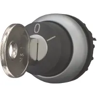 Eaton M22-WRS-A1, Schlüsselschalter, Kunststoff, Schwarz, Silber, IP66, 29,7 mm, 39,6 mm