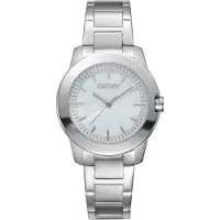DKNY Park Ave Midi Silver Stainless Steel DK1L020M0035