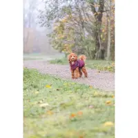 Trixie Geschirr-Wintermantel Pirou - sangria - 220.0L x 380.0H x 20.0B