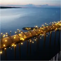 Sirius Home Easy-Line LED Lichterkette Cluster 600 LED warmweiß außen 12 m grün