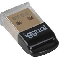 Iggual IGG319383, USB Typ-A, Bluetooth, Schwarz, Männlich, Gerade, 0,003 Gbit/s
