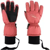 Sinner Phoenix Handschuhe