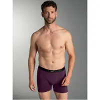 Trigema Boxer "Pants mit praktischem Gummibund" 1 Stk.