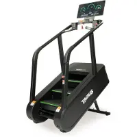 Taurus Stair Trainer ST9.9 Treppensteiger