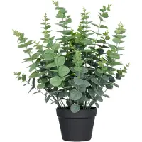 Creativ Green Kunstpflanze "Eukalyptus gunnii" in UV-beständiger Ausführung