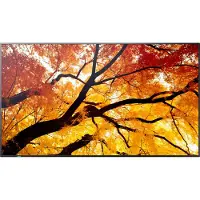 Sharp MultiSync M322, Digital Signage Flachbildschirm, 81,3 cm (32"), LCD, 1920 x 1080 Pixel