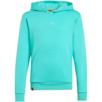 Adidas Minecraft Terrex Kapuzenpullover