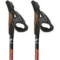 Fizan R-evolution Pro Stöcke