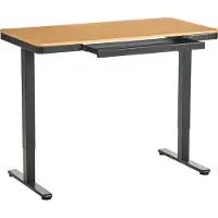 Beliani Schreibtisch Schwarz / Hellbraun Stahl Gestell 120 x 60 cm Elektrisch Höhenverstellbar Memory Funktion USB Anschluss Sitz-Steh-Tisch Bürotisch