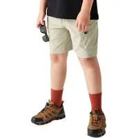 Dare 2b Reprise Iii Kurze Hose