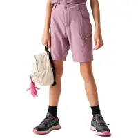 Dare 2b Reprise Iii Kurze Hose